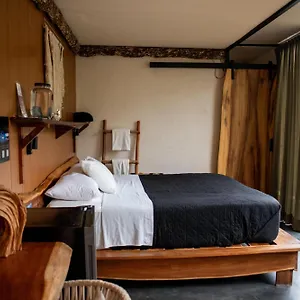 Hotel Bufo Alvarius **